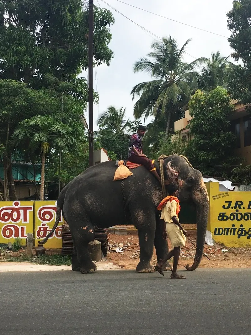 Retraite Inde - Photo 4